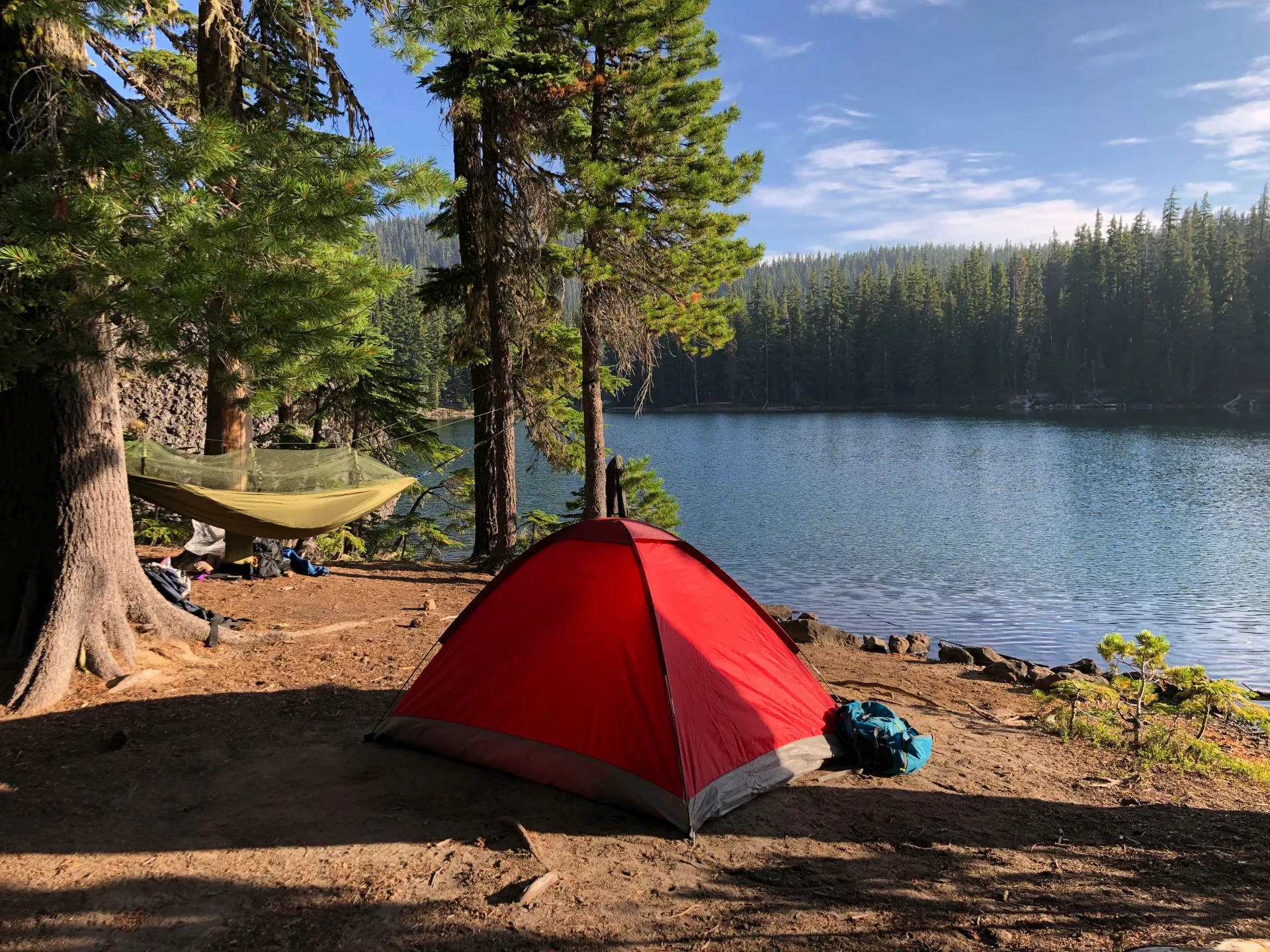 View of Kinbasket Lake Resort campsites by the lake
